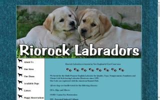 Riorock Labrador Retrievers