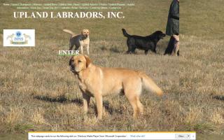 Upland Labradors, Inc