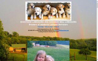 Bachman Mill Farm / Shadyside Labradors