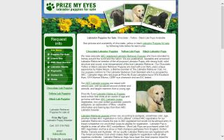 Prize My Eyes Labrador Retrievers