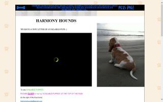 Harmony Hounds
