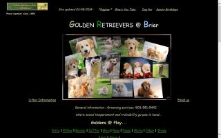 Brier Golden Retrievers