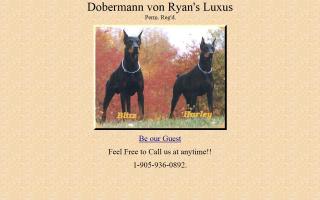 Dobermann Von Ryan's Luxus