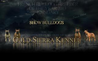 Gold-Sierra Kennel