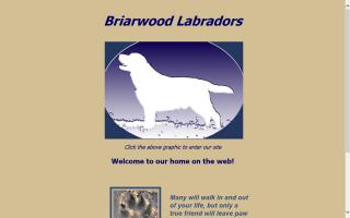 Briarwood Labradors