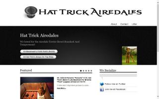 Hat Trick Airedales