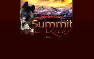 Summit Akitas