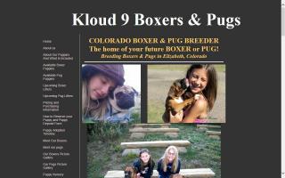 Kloud 9 Boxers & Pugs